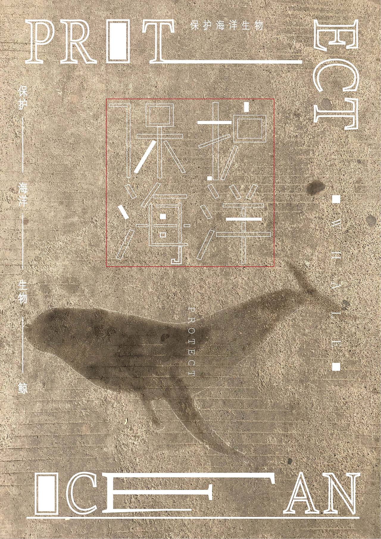 保护海洋生物|平面|海报|走吧go_原创作品-站酷zcool