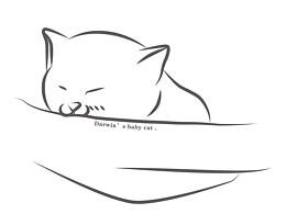 畫畫同事的小貓子