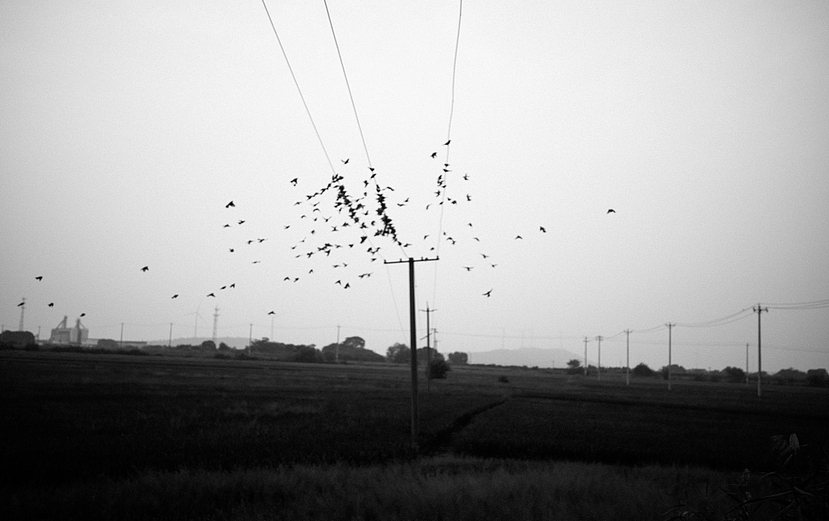 音符🎵（图ZMzUyNDcwMTky） - 风光摄影 - 站酷设计师Z431882420原创素材 - 站酷ZCOOL