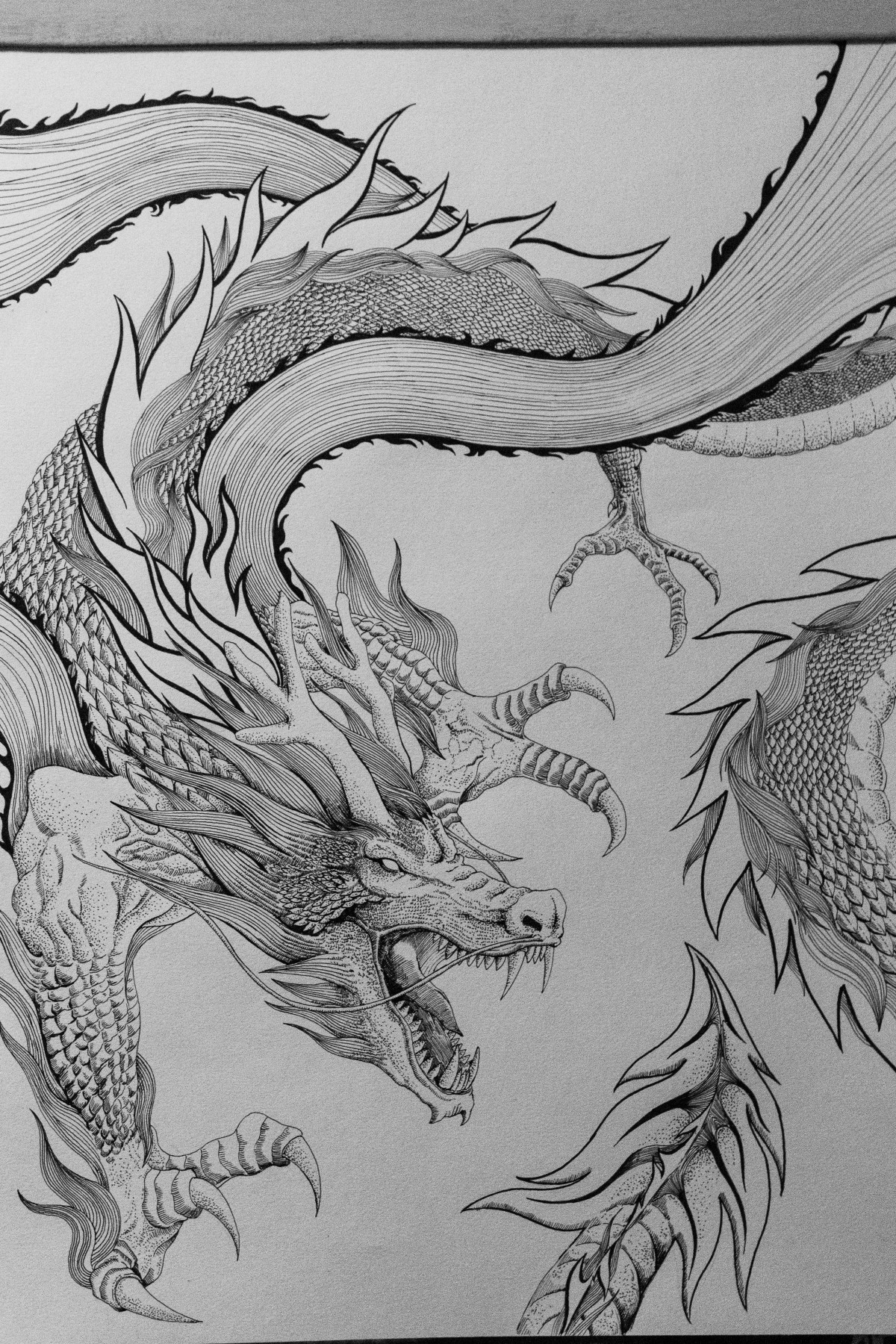 水笔绘龙|插画|商业插画|守望者swangzhe - 原创作品 - 站酷 (zcool)