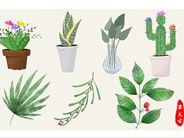植物插画