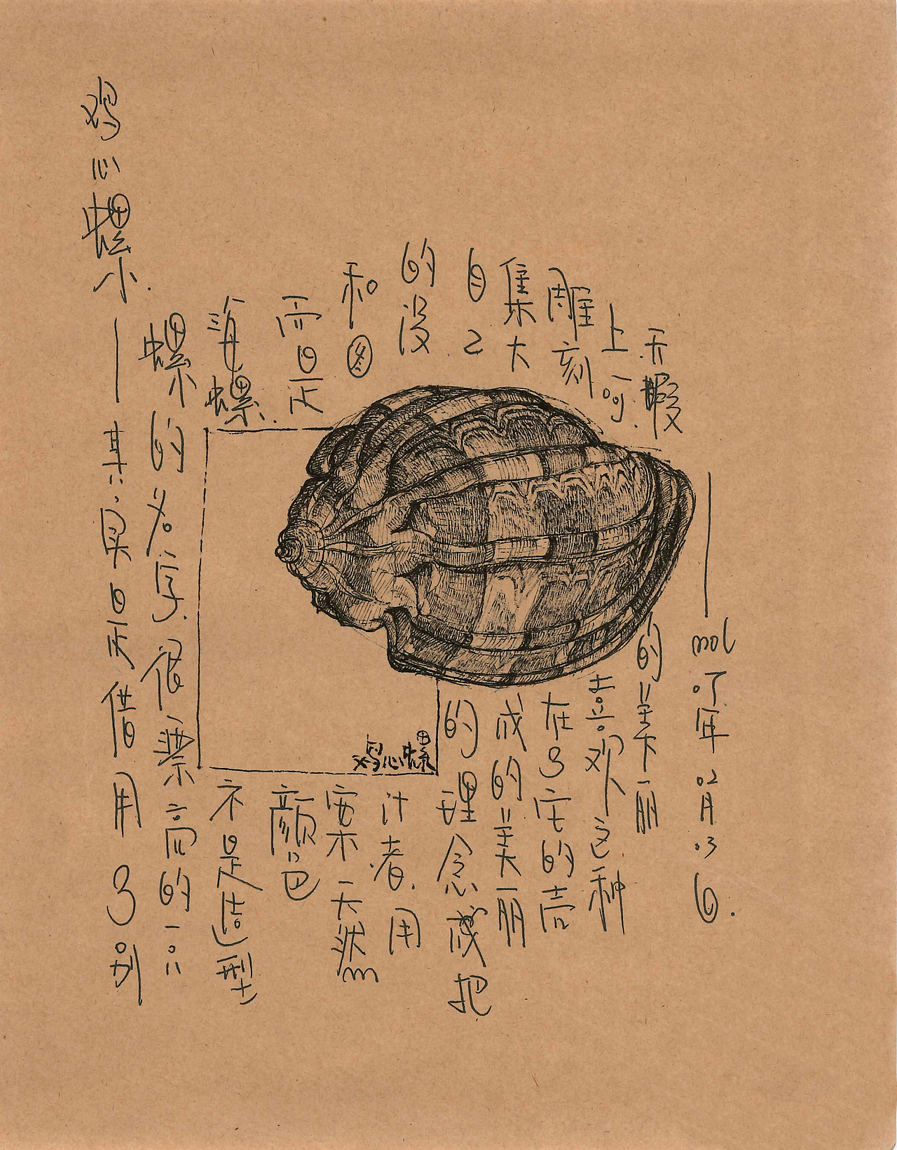 这个关于海鲜的插画手稿（终）（图ZMTM2ODExMDA0） - 创作习作 - 站酷设计师daimol原创素材 - 站酷ZCOOL
