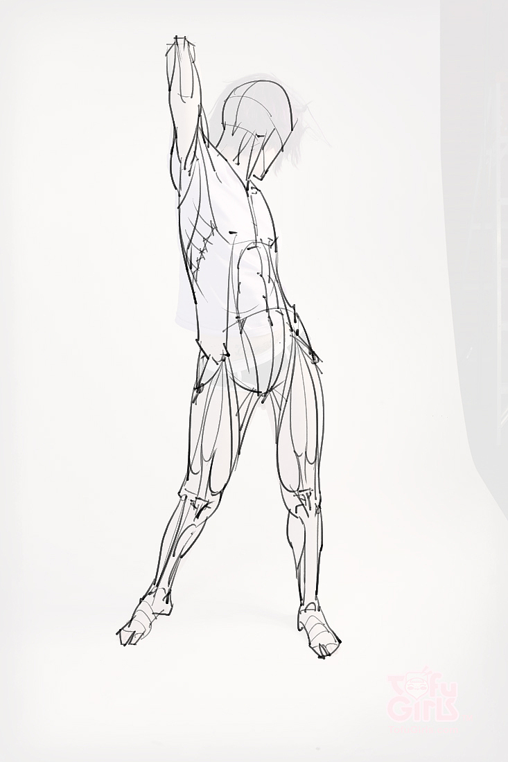 「素材」分享一波绘画专用人体解剖素材 part 09