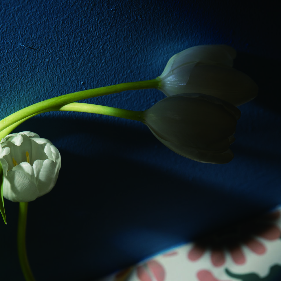 張濤design的個人主頁（封面預(yù)覽） - 主頁封面設(shè)置 - 站酷設(shè)計師張濤design原創(chuàng)素材 - 站酷ZCOOL