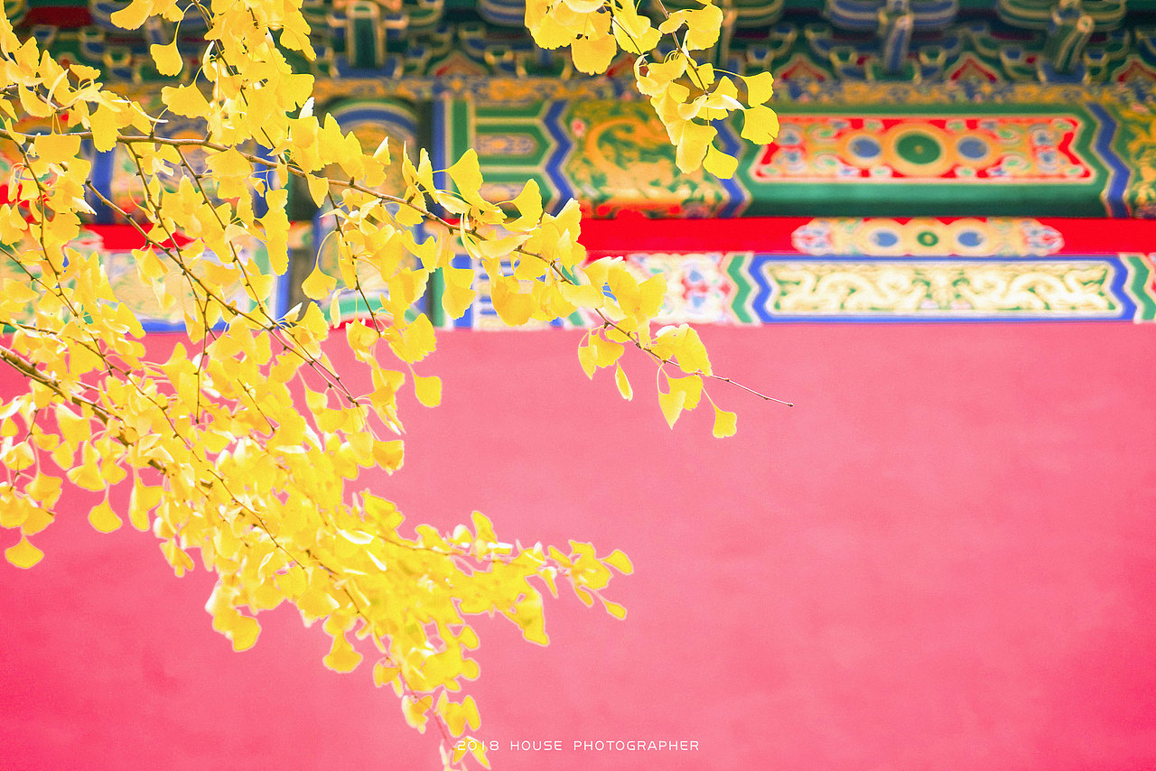 秋（图ZMTMzMjc4OTEy） - 风光摄影 - 站酷设计师房子_房子原创素材 - 站酷ZCOOL