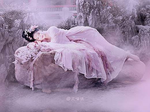 花朝节《花神梦园记》封面
