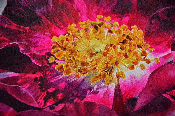 紫蔷薇（图ZNDQ2MTY0ODQ=） - 绘画 - 站酷设计师木卮--_--原创素材 - 站酷ZCOOL