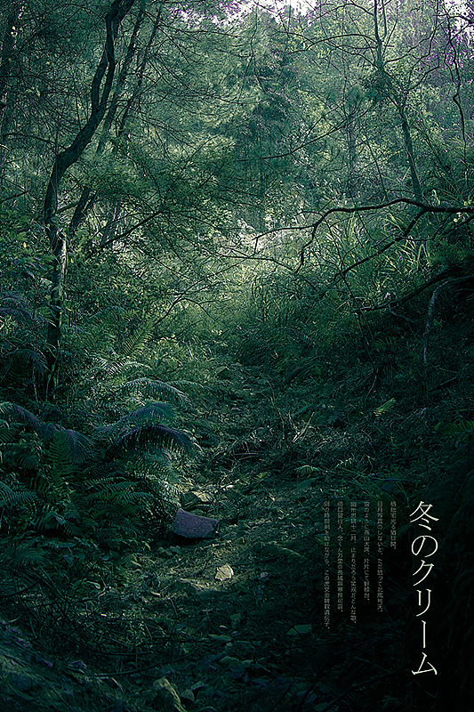 《冬季的霜》（图ZMTM0MzIzMjA=） - 风光摄影 - 站酷设计师michaelpst原创素材 - 站酷ZCOOL