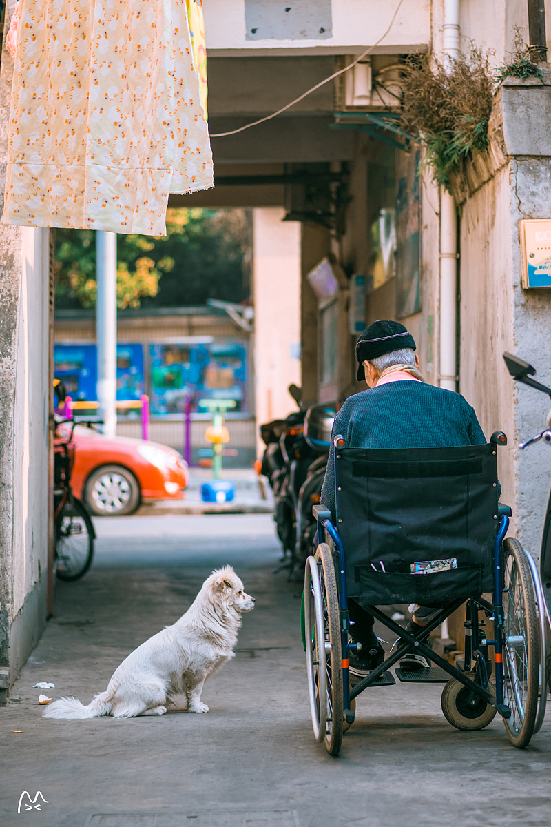 行走在上海的大街小巷