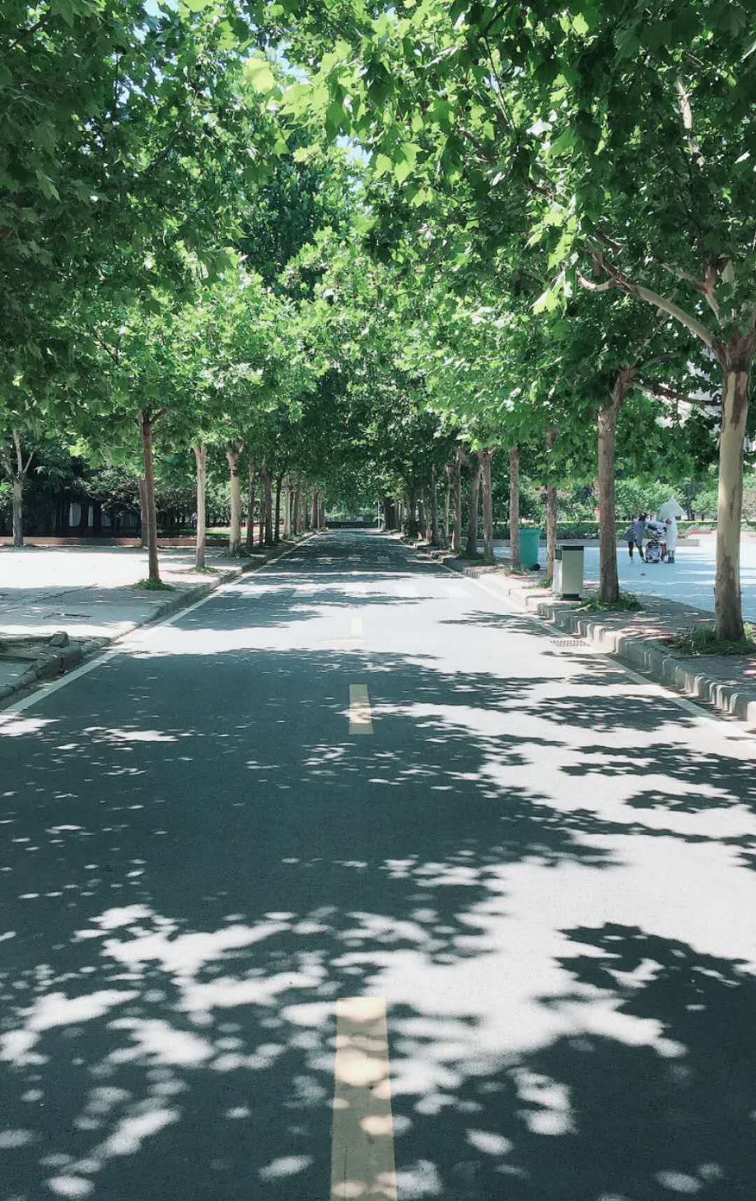 地点:校园 时间:毕业的暑假 环境:夏天,户外 内容:校园