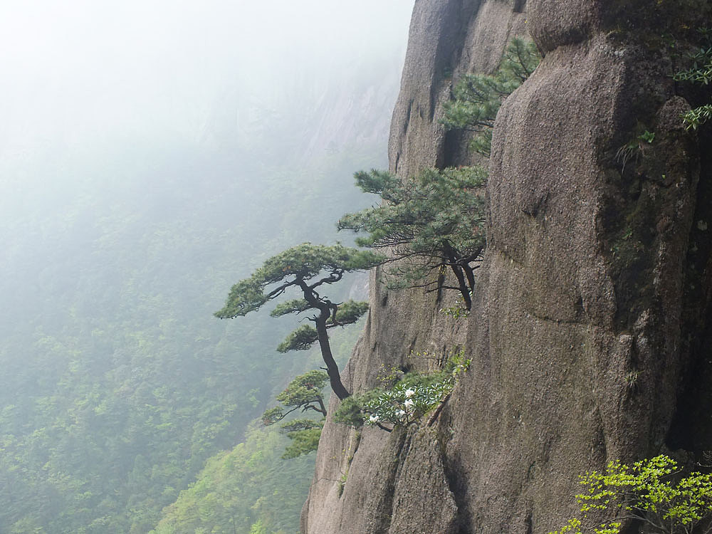 游行黄山（图ZNzM1NjI4MDA=） - 风光摄影 - 站酷设计师mayidefei原创素材 - 站酷ZCOOL