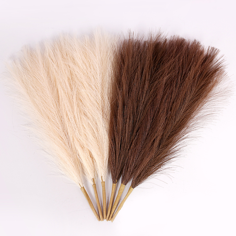 干植物（图ZMjc4MDIzMjY4） - 时尚/艺术摄影 - 站酷设计师一块咸砖头原创素材 - 站酷ZCOOL