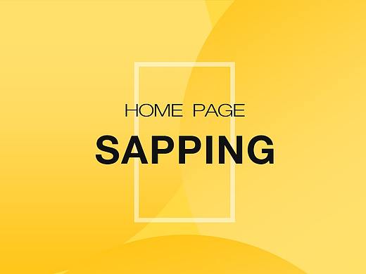 SAPPING首頁（個(gè)人主頁-ZMjUwNjUwNjg=） - 其他UI - 站酷設(shè)計(jì)師HM_O原創(chuàng)素材 - 站酷ZCOOL