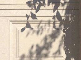 成都金堂縣縣政府舊址