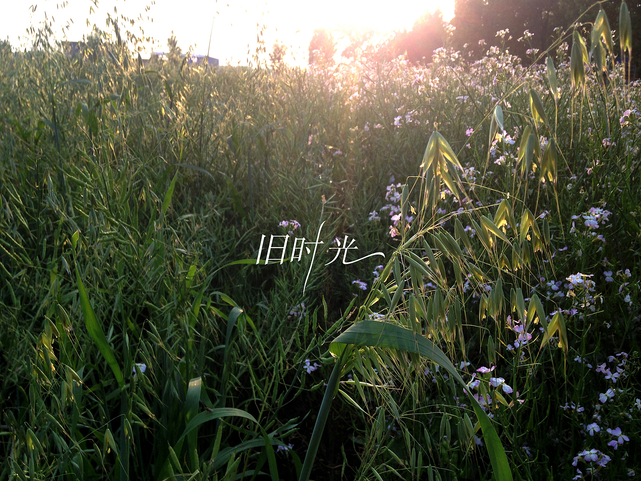 旧时光*03