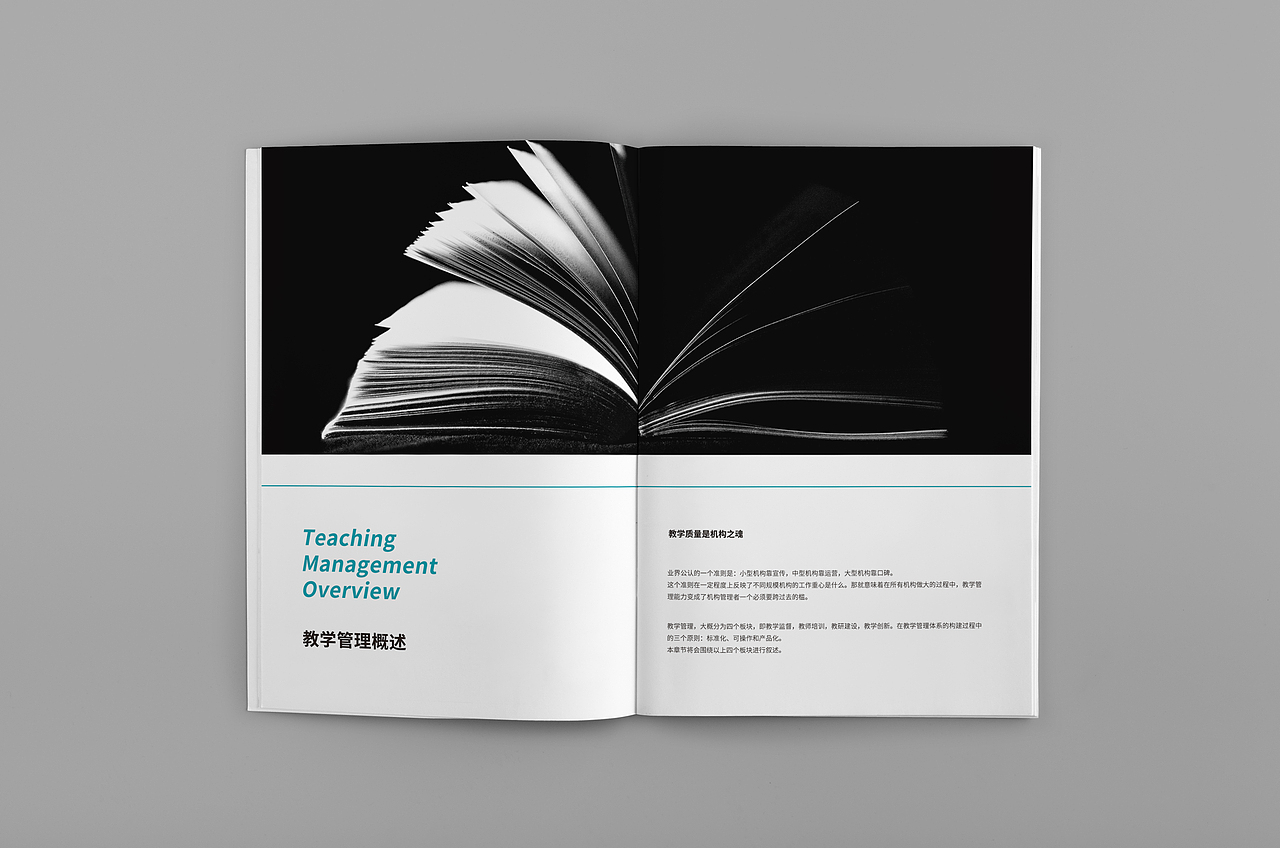 艺考美术培训行业手册设计