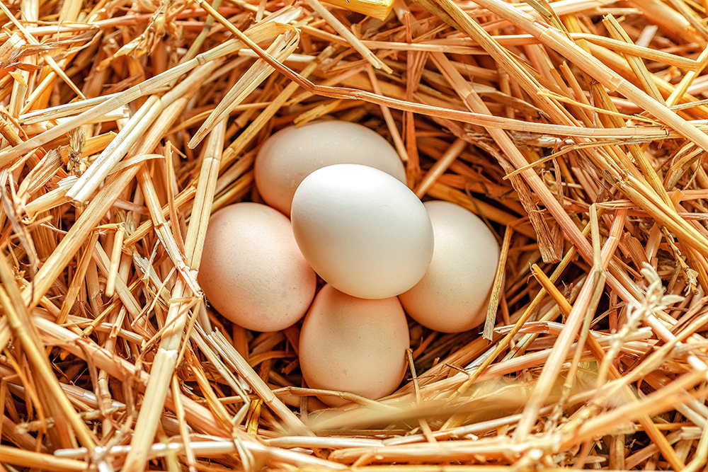 土鸡蛋农副产品拍摄|摄影|产品摄影|茂盛_原创作品-站酷zcool