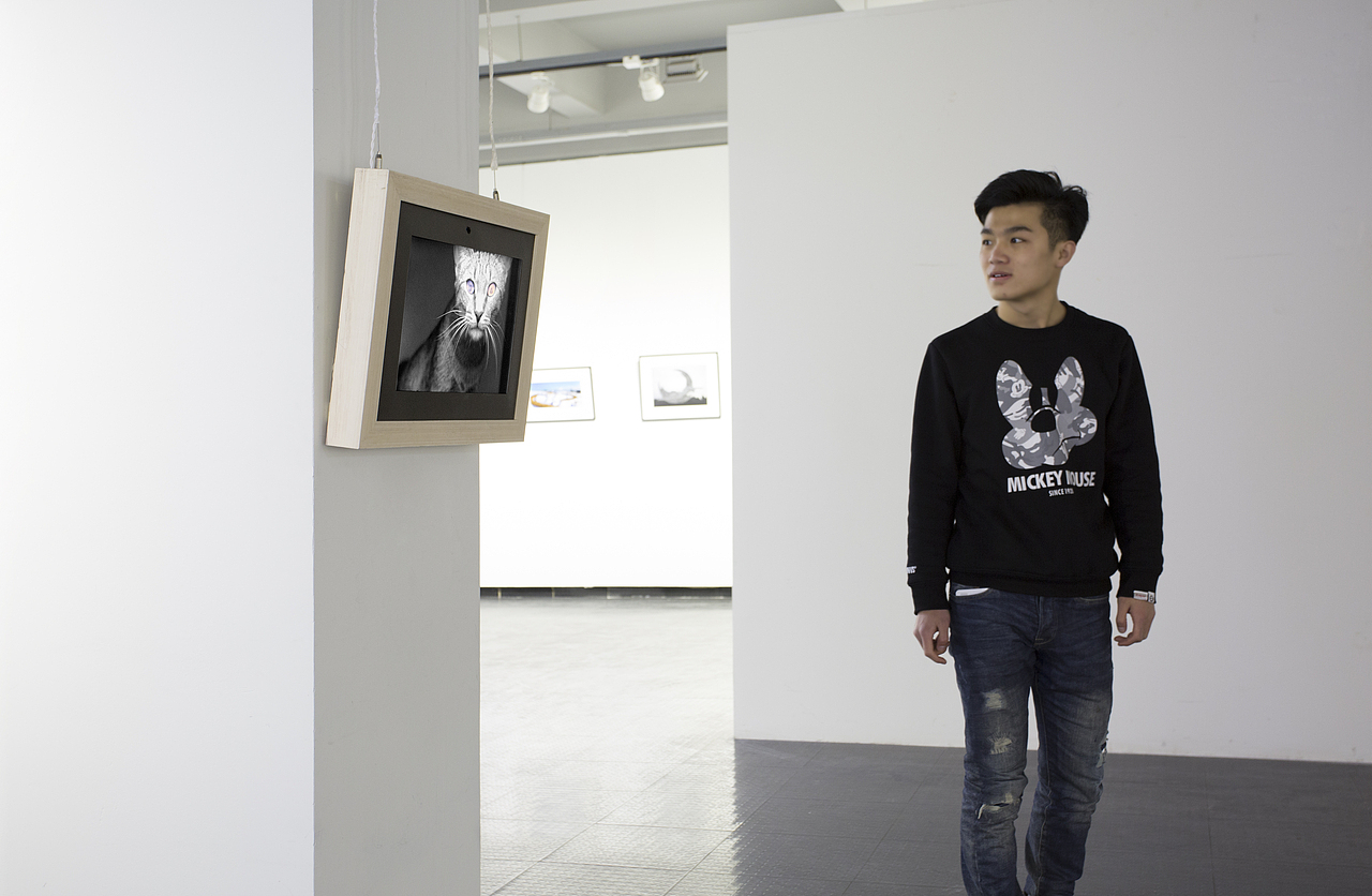 互动装置作品《动物视觉反思》（图ZNjQ4NDg2ODg=） - 展陈设计 - 站酷设计师Haiyu海魚原创素材 - 站酷ZCOOL