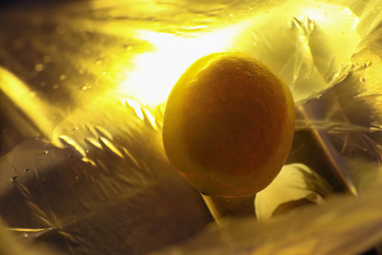 無(wú)題（圖ZMTE2ODM2NTIw） - 人像攝影 - 站酷設(shè)計(jì)師戌子庚原創(chuàng)素材 - 站酷ZCOOL