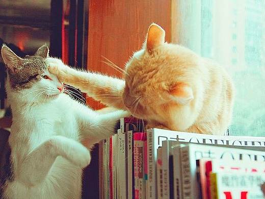 AE动效（个人主页-ZMjUyMTU1MjQ=） - 动效设计 - 站酷设计师吃瓜小孩原创素材 - 站酷ZCOOL