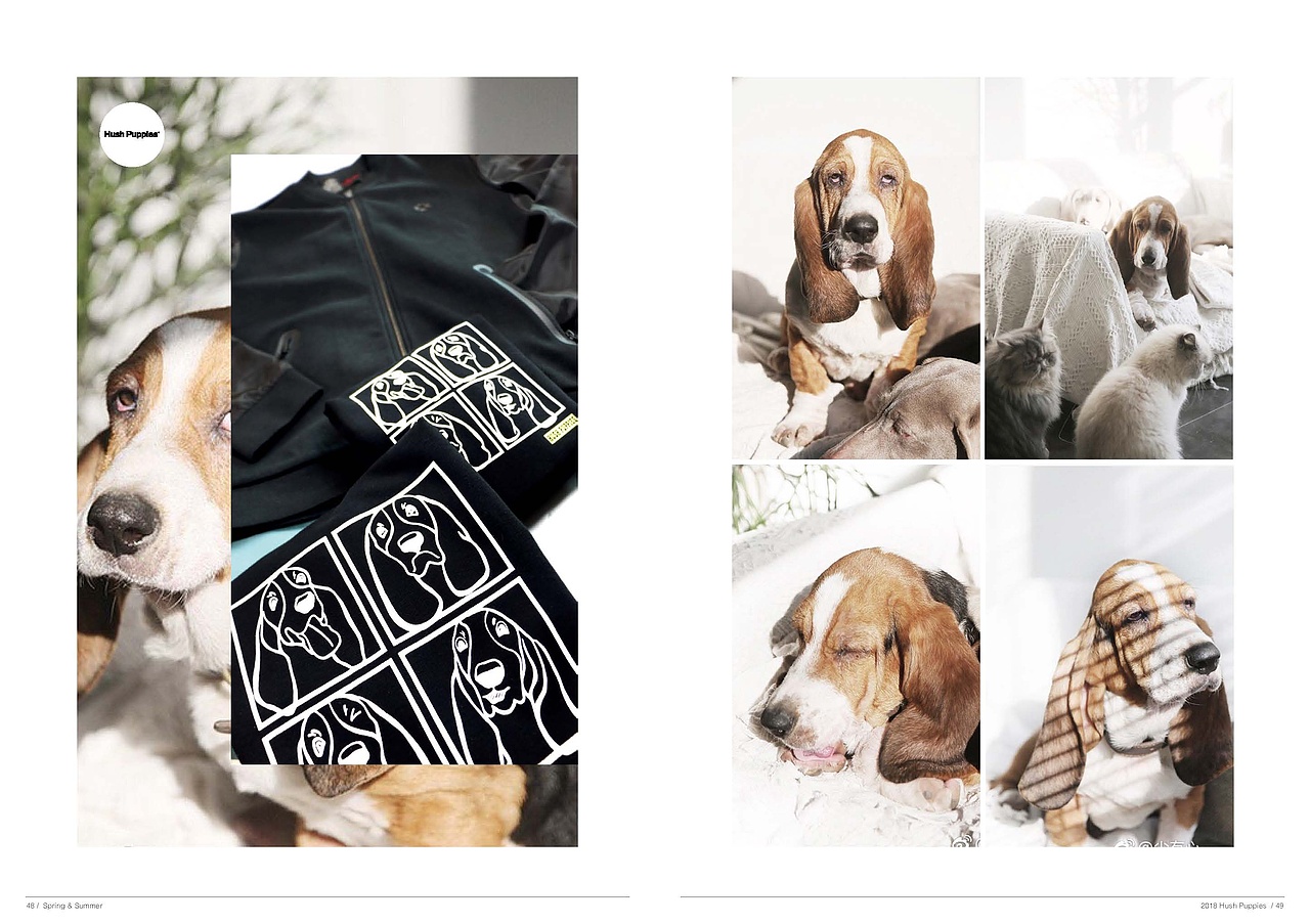 18SS Hush Puppies 暇步士品牌画册
