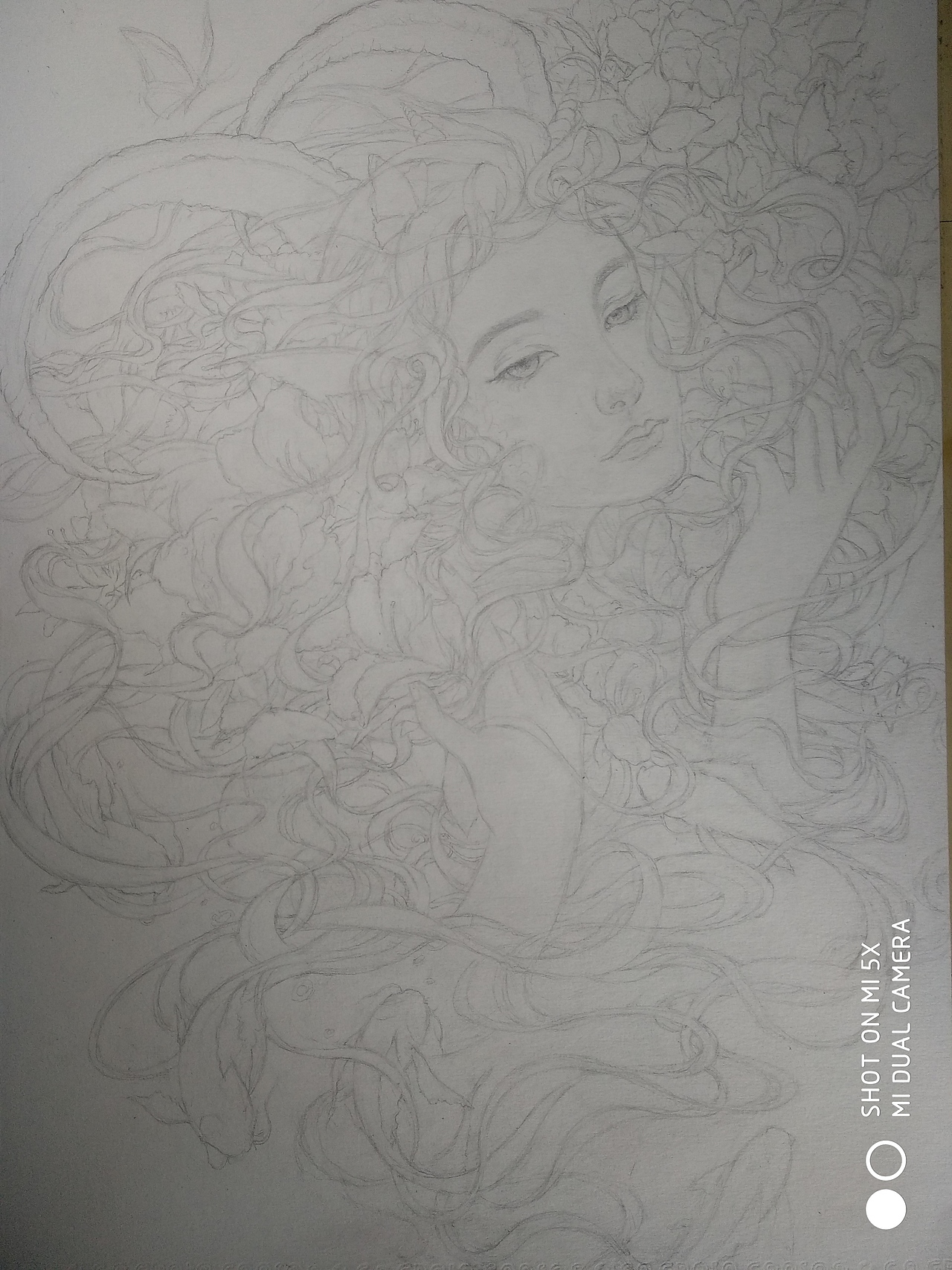 前期的铺色我画的比较淡,在试色调