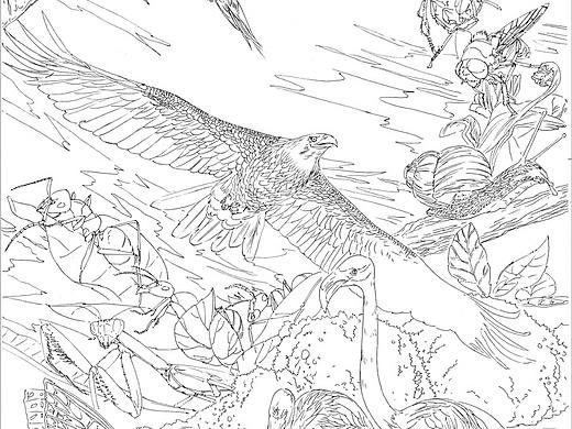 儿童科普类 教育类 黑白线稿插图