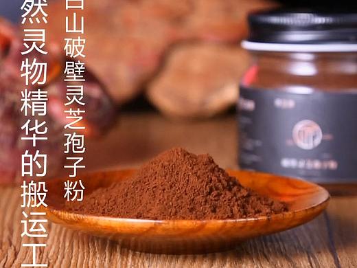 TB视频——灵芝粉