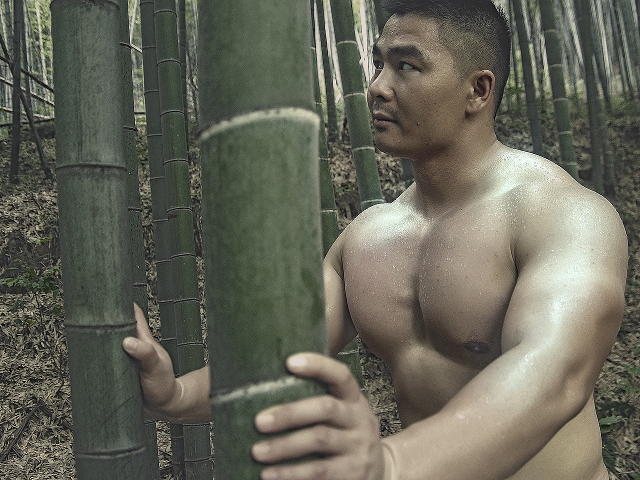 【貳零壹柒 · 溧陽 · 南山竹海】（图ZOTA2MDMxODA=） - 人像摄影 - 站酷设计师Daven原创素材 - 站酷ZCOOL