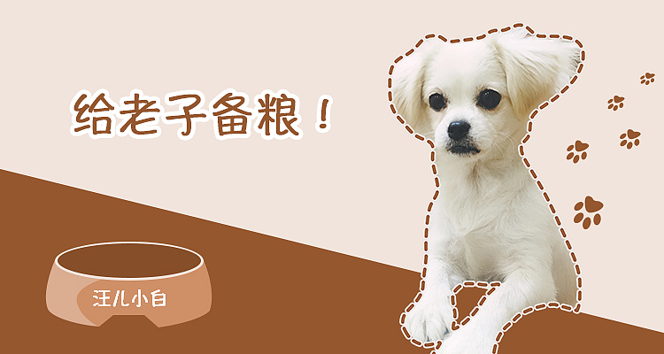 汪儿小白-表情包（图ZMTMyMjI1NzQ4） - 宠物摄影 - 站酷设计师小番茄的喵原创素材 - 站酷ZCOOL