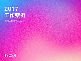 2017年工作项目总结