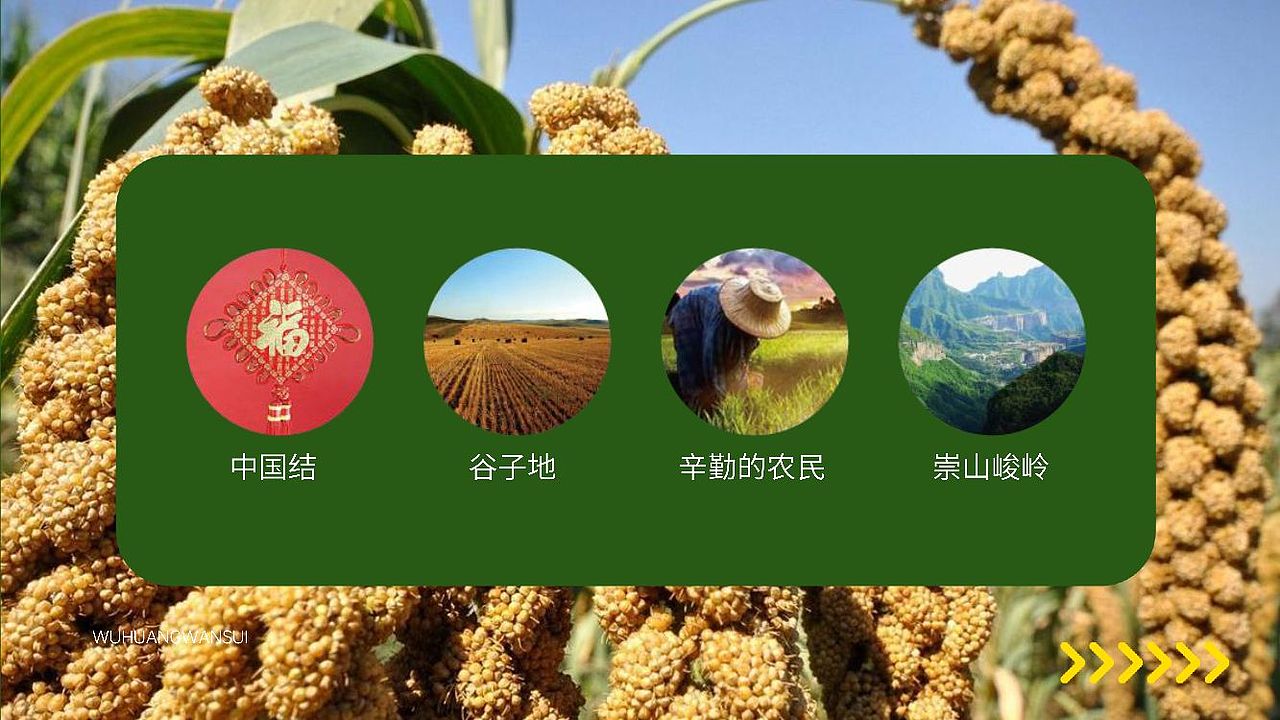 山西武黄万穗小米logo