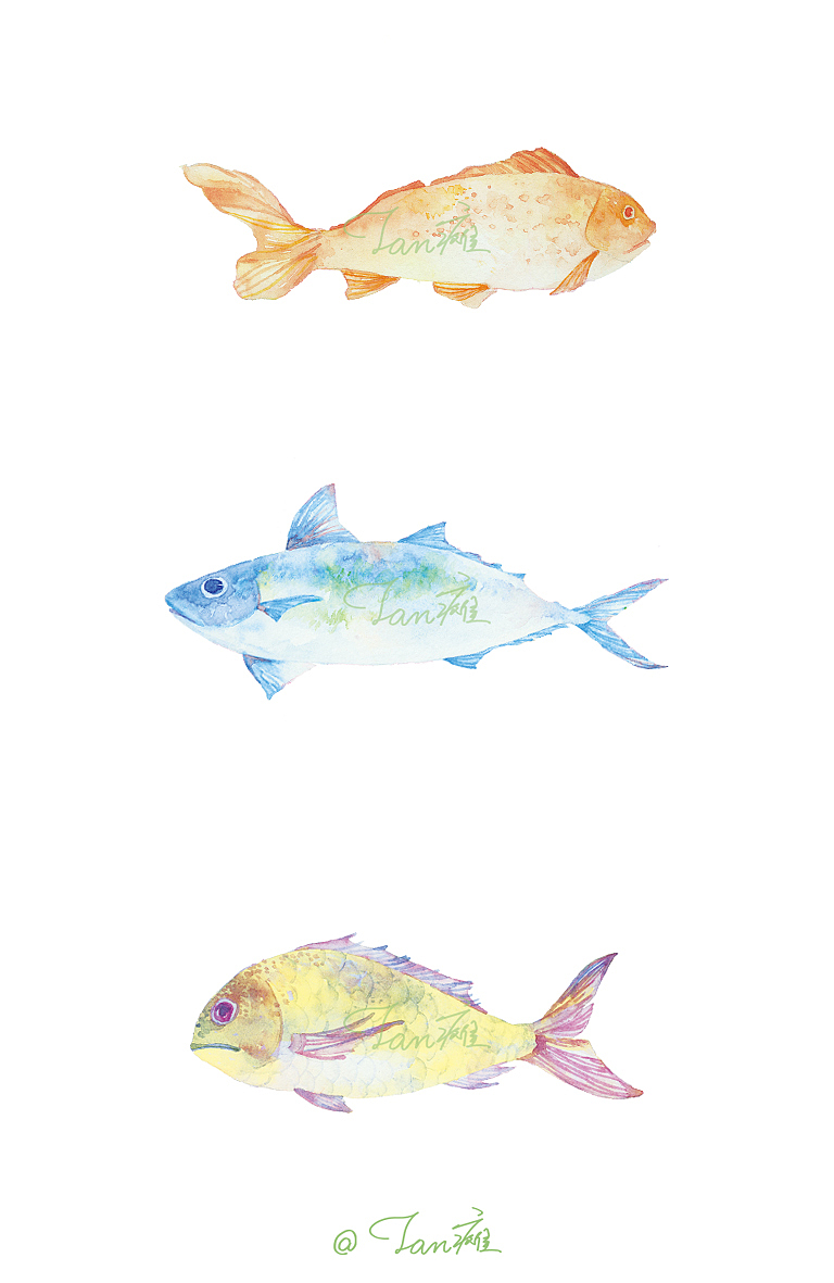 鱼水彩手绘插画