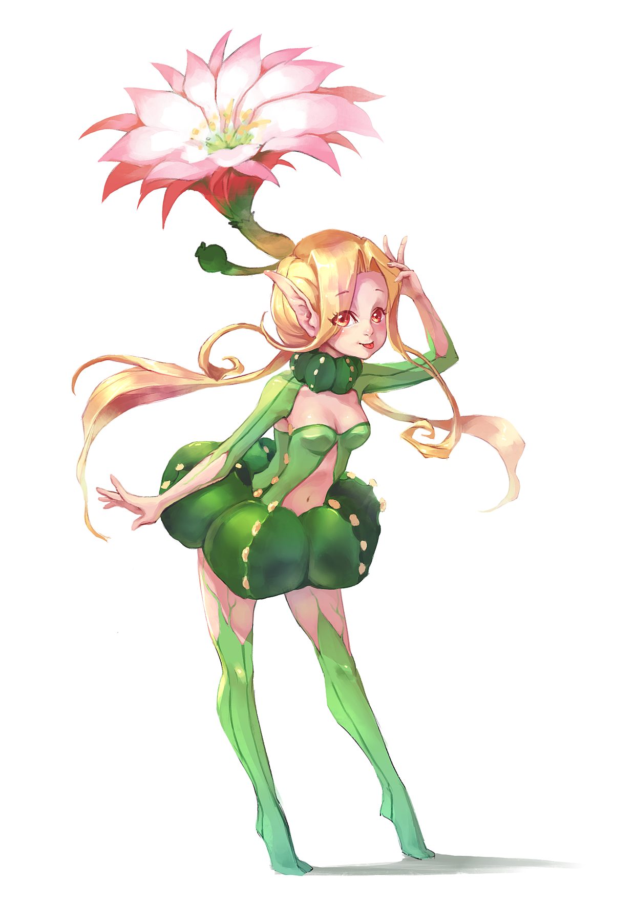 萌萌的仙人掌呀