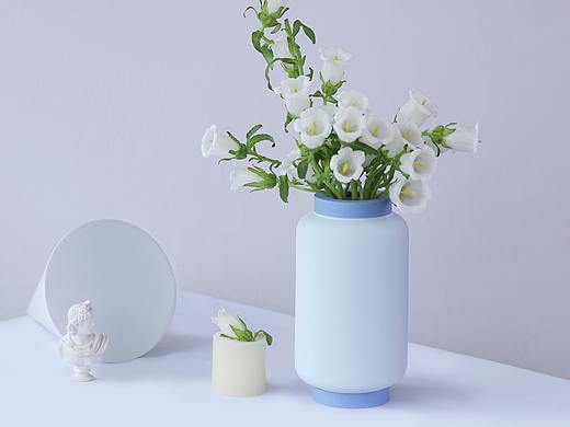 花之道—灯笼瓶