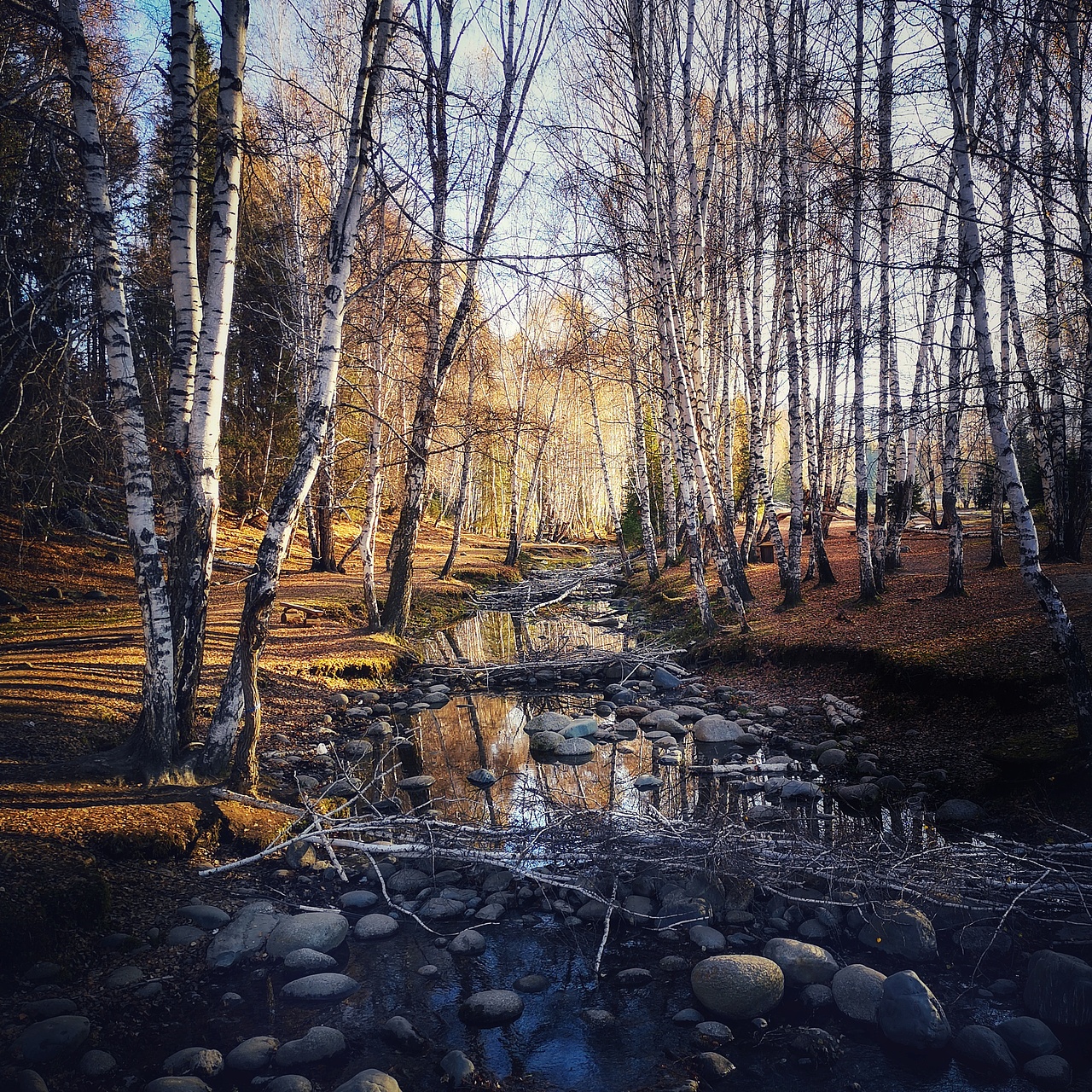 疆行——路上见闻