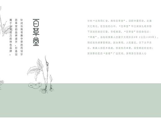百草堂品牌概念设计（中草药）