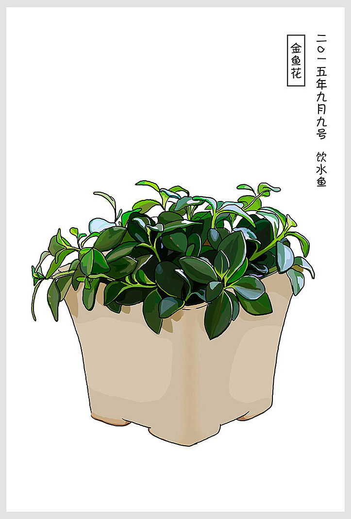 手绘常见室内小盆栽