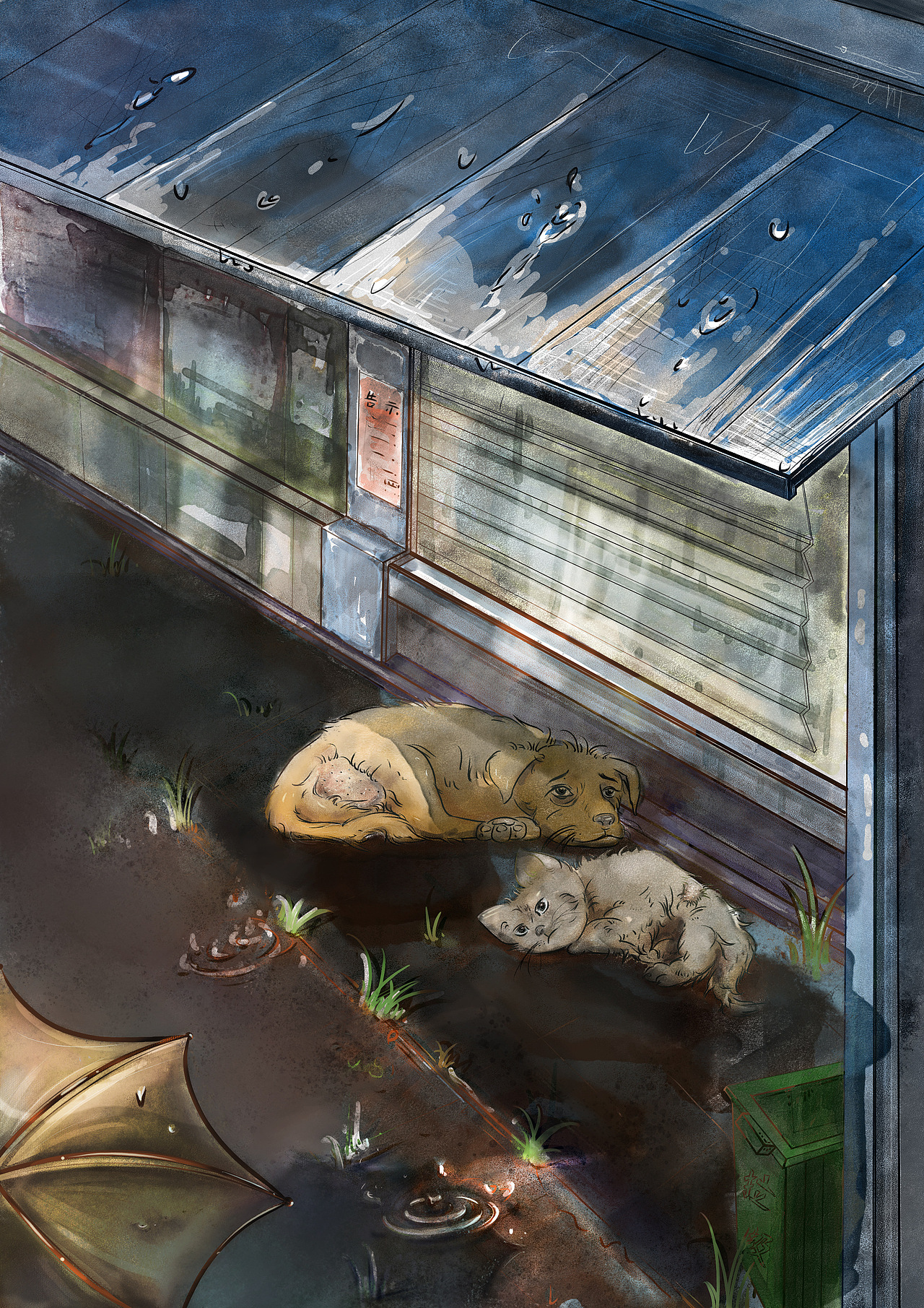 流浪动物主题插画