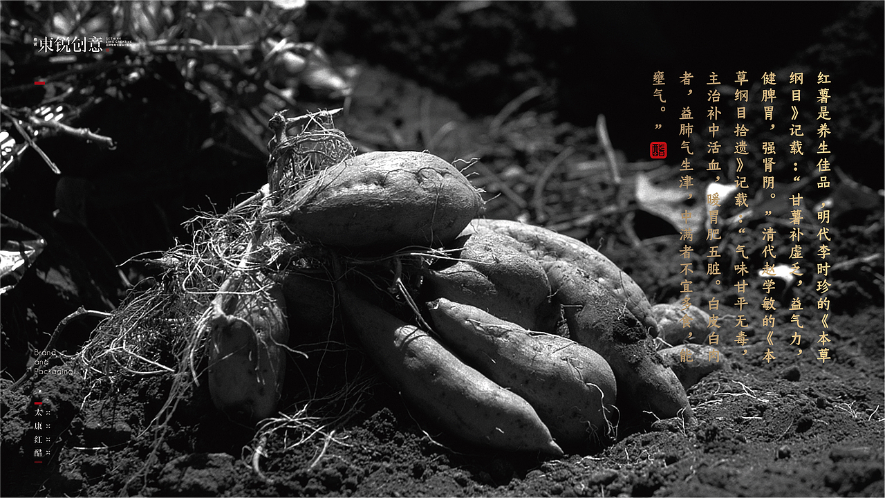 「太康红醋」 品牌&包装设计