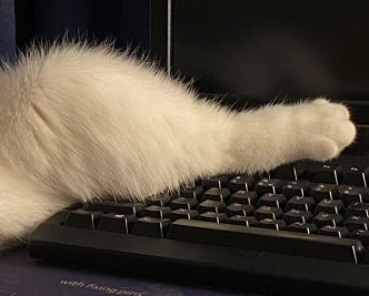 poopoozi的个人主页（背景预览） - 主页背景设置 - 站酷设计师poopoozi原创素材 - 站酷ZCOOL