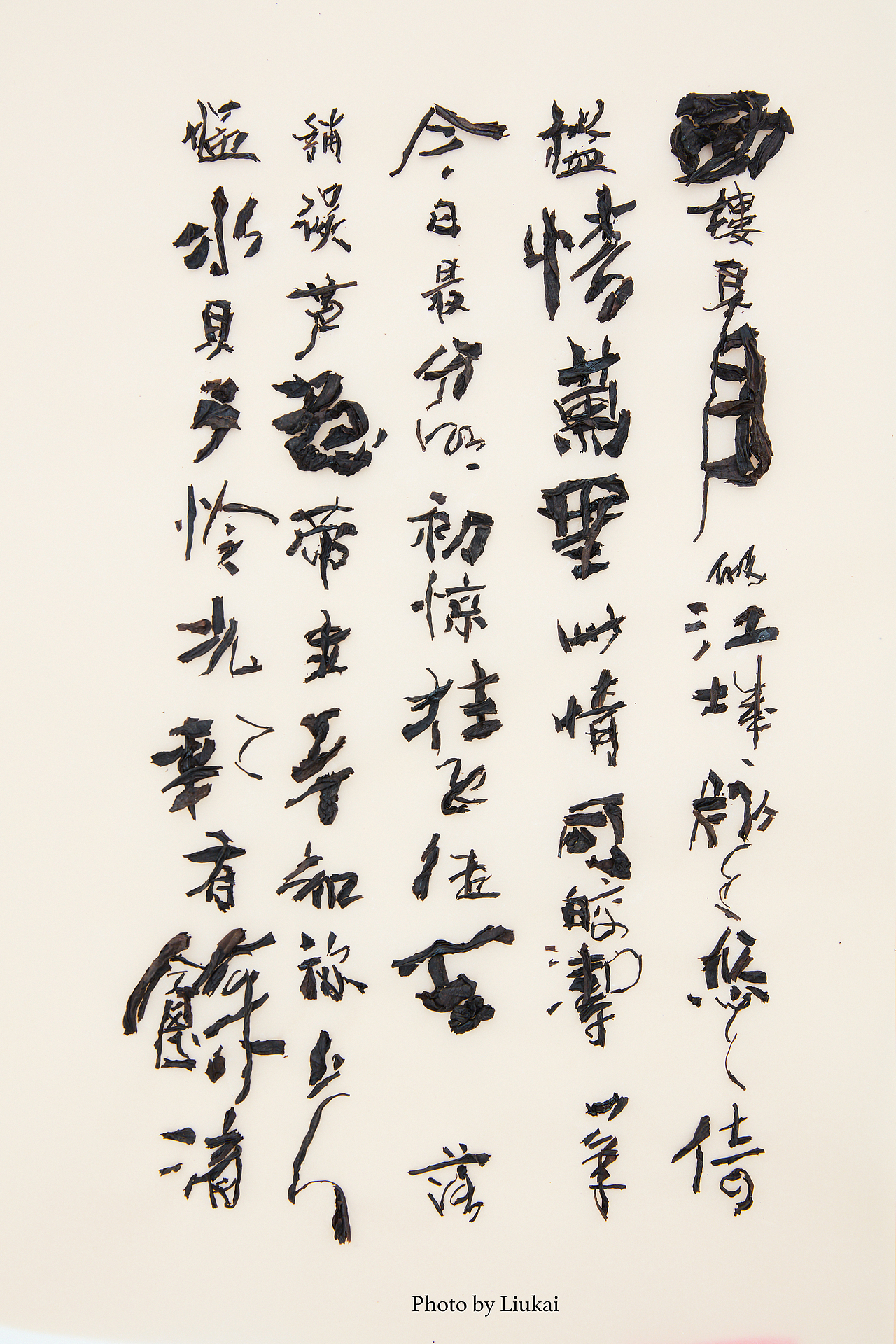 刘凯 X 小罐茶·茶诗集 | 一茶一诗 一诗一味（图ZMjI2MDUxMDA0） - 产品摄影 - 站酷设计师摄影师刘凯原创素材 - 站酷ZCOOL
