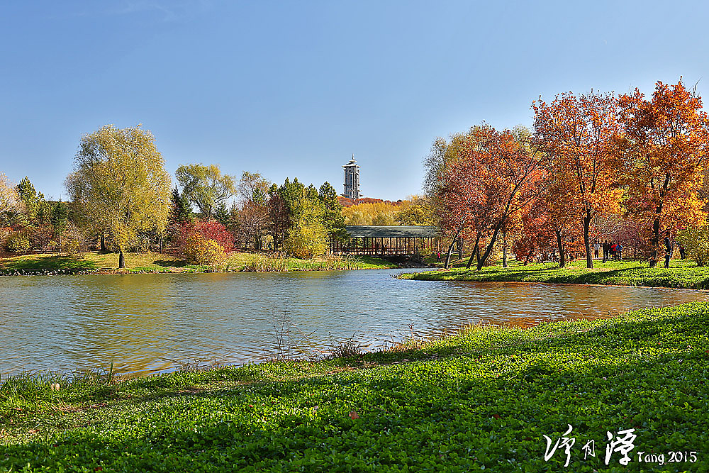 长春净月潭秋游（图ZMzUzNzU3ODQ=） - 风光摄影 - 站酷设计师marinetzk原创素材 - 站酷ZCOOL
