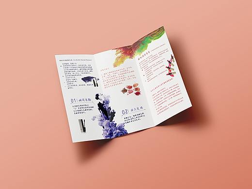 卡姿兰三折页设计