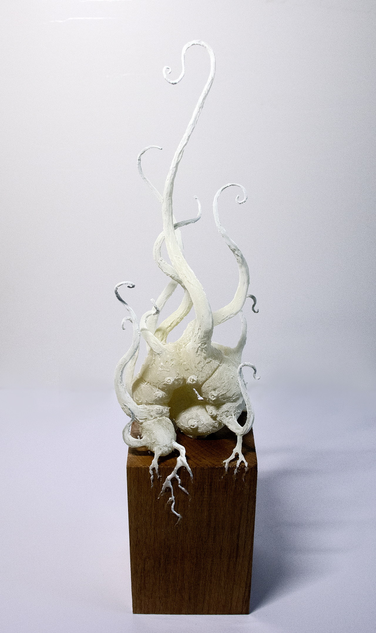 《诗经》中的昆虫（图ZMTcxMDk3NzAw） - 手办/模玩 - 站酷设计师鱿小哉原创素材 - 站酷ZCOOL