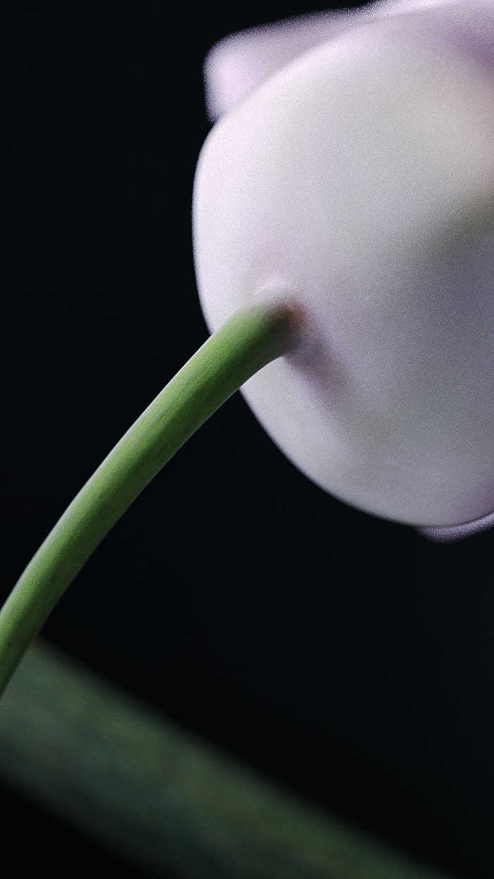 注-CGI（图ZMjEyNDg2MTAw） - 场景 - 站酷设计师GengXiHR原创素材 - 站酷ZCOOL