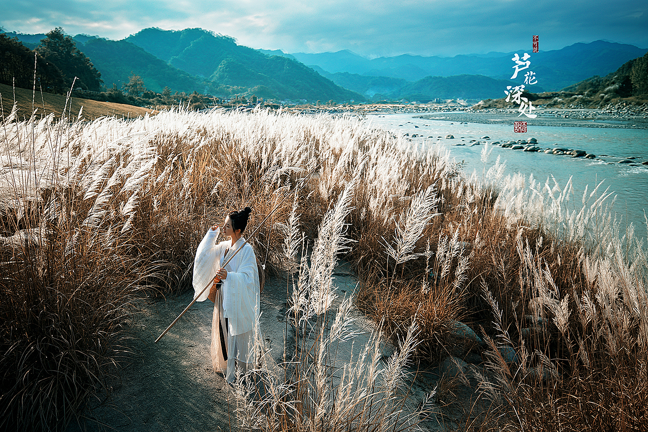 芦花深处