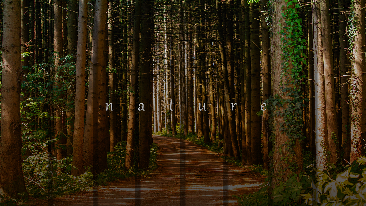 旅行ppt封面目录