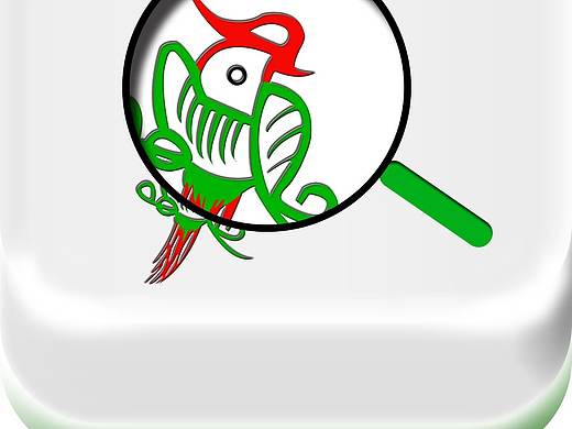 麻将