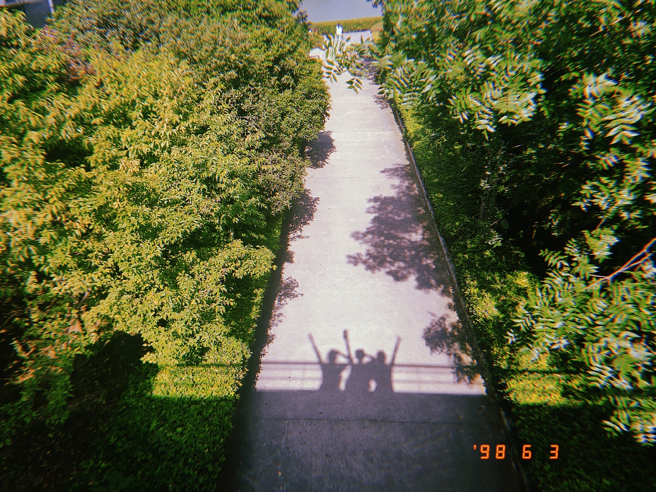 隨拍。（圖ZMTYxMTgwNzA4） - 風光攝影 - 站酷設計師殺死花期的兇手原創(chuàng)素材 - 站酷ZCOOL